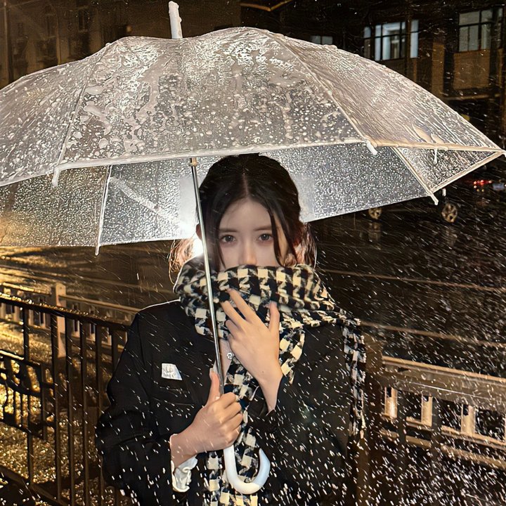 啼笑姻缘（上集）